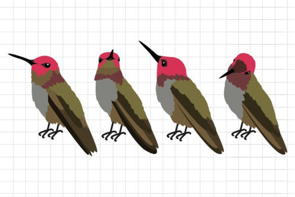 Evaluating Hummingbird Illustration Assets for Professional Design Projects
