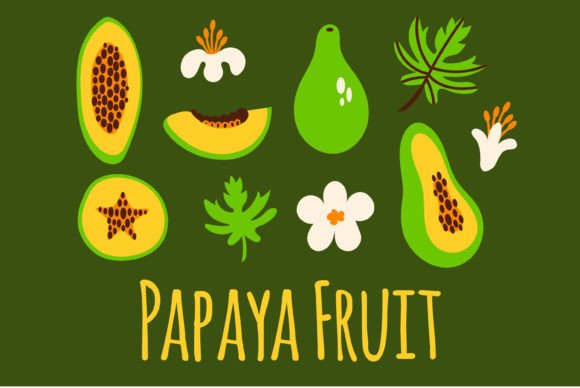 Papaya Fruit: A Tropical Staple for Culinary, Decorative, and Creative Projects
