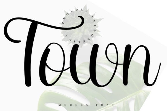Town: A Comprehensive Evaluation of the Enchanting Handwritten Script